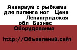Аквариум с рыбками для пилинга ног › Цена ­ 80 000 - Ленинградская обл. Бизнес » Оборудование   